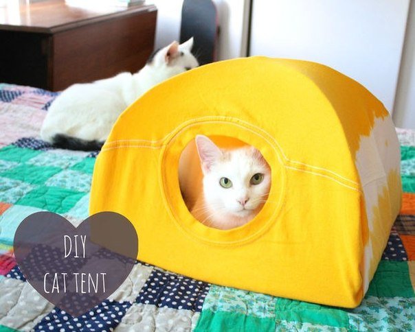 DIY No Sew Cat Bed from T-shirt | www.FabArtDIY.com