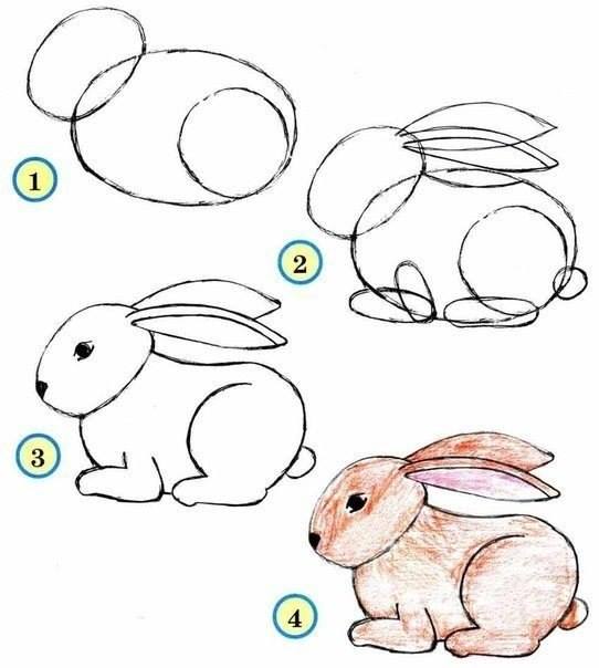 easy pictures to draw of animals