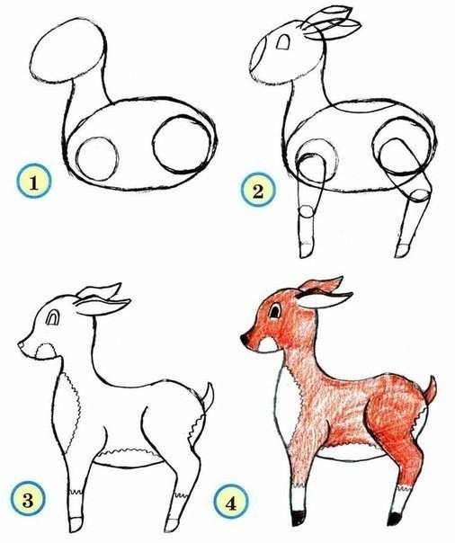 easy pictures of animals to draw