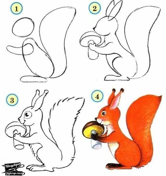 https://www.fabartdiy.com/wp-content/uploads/2015/01/Draw-wildlife-animals-squirrel.jpg