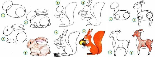 easy drawings of wildlife