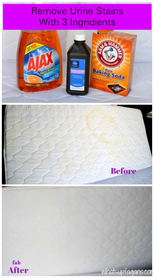 How to Clean Urine From a Mattress 